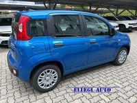 Nuova Fiat Panda 69 CV (50 kW) 2025 Blue italia Berlina