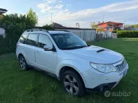 Usata Subaru Forester Trend 147 CV (108 kW) 2014 Bianco SUV