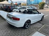 usata Audi A5 Cabriolet 3.0 V6 tdi quattro s-tronic S-Line