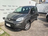 Usata Fiat Panda City Life 69 CV (50 kW) 2023 Grigio Utilitaria
