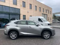 Usata Lexus NX300h Executive Line 155 CV (114 kW) 2016 Grigio SUV