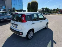 Usata Fiat Panda Easy 69 CV (50 kW) 2019 Bianco Utilitaria