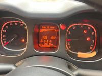 Usata Fiat Panda Cross Cross 69 CV (50 kW) 2023 Grigio Utilitaria