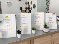 Usata Citroën Berlingo Feel 110 CV (80 kW) 2020 Grigio Monovolume