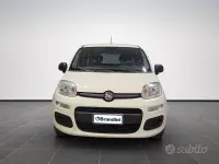 Usata Fiat Panda Easy 69 CV (50 kW) 2016 Bianco Utilitaria