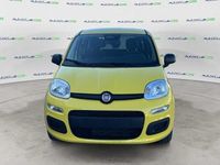 Nuova Fiat Panda Icon 69 CV (50 kW) 2025 Giallo Utilitaria