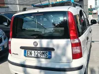 Usata Fiat Panda Dynamic 69 CV (50 kW) 2012 Bianco Utilitaria