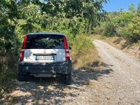 Usata Fiat Panda 4x4 80 CV (58 kW) 2007 Bianco Utilitaria