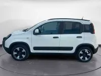 Usata Fiat Panda Cross Cross 70 CV (51 kW) 2023 Bianco Utilitaria
