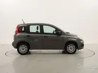 Usata Fiat Panda Easy 69 CV (50 kW) 2021 Grigio Utilitaria