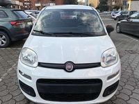 Usata Fiat Panda 60 CV (44 kW) 2016 Utilitaria