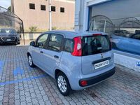 Usata Fiat Panda Easy 69 CV (50 kW) 2021 Grigio Utilitaria
