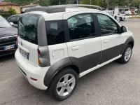 Usata Fiat Panda 4x4 Cross 75 CV (55 kW) 2011 Bianco Utilitaria