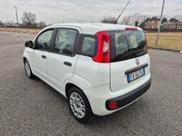 usata Fiat Panda 1.2 Benzina Euro 6 NEOPATENTATO Ganci T