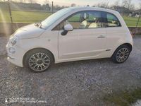 Usata Fiat 500 Collezione 69 CV (50 kW) 2019 Bianco Utilitaria