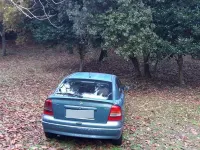 Usata Opel Astra 101 CV (74 kW) 2002 Verde Berlina