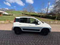 Usata Fiat Panda 4x4 Lounge 75 CV (55 kW) 2015 Bianco Utilitaria