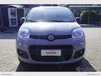Usata Fiat Panda Easy 69 CV (50 kW) 2019 Grigio Utilitaria