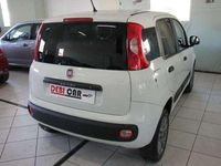 Usata Fiat Panda 4x4 S 95 CV (69 kW) 2017 Bianco Utilitaria