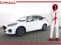 Usata Ford Kuga ST-Line 120 CV (88 kW) 2021 Frozen white  pastello SUV