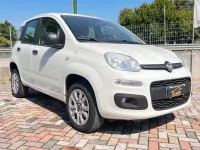 Usata Fiat Panda Lounge 84 CV (61 kW) 2020 Bianco Utilitaria