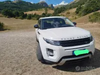 Usata Land Rover Range Rover evoque 150 CV (110 kW) 2014 Bianco SUV