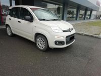 usata Fiat Panda 1.3 MJT 95 CV S&S Easy FB600