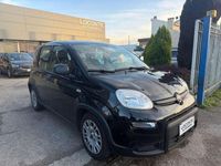 Usata Fiat Panda City Life 69 CV (50 kW) 2023 Nero Utilitaria