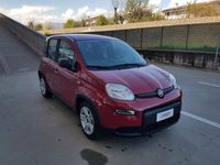 usata Fiat Panda Panda 1.0 70cv hybrid