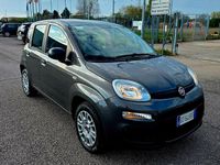 Usata Fiat Panda 69 CV (50 kW) 2020 Grigio Utilitaria