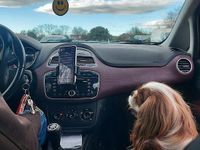 Usata Fiat Punto Evo Active 75 CV (55 kW) 2010 Utilitaria