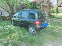 usata Fiat Multipla Multipla1.6 16v ELX bipower