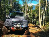 Usata Land Rover Defender 109 CV (80 kW) 1992 SUV