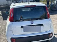 Usata Fiat Panda 95 CV (69 kW) 2018 Utilitaria