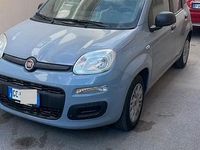 Usata Fiat Panda Easy 69 CV (50 kW) 2020 Utilitaria