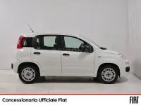 Usata Fiat Panda Lounge 95 CV (69 kW) 2016 Bianco Utilitaria
