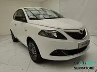 Usata Lancia Ypsilon 69 CV (50 kW) 2024 Bianco Utilitaria