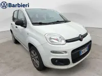 Usata Fiat Panda 84 CV (61 kW) 2014 Other Utilitaria