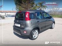 usata Fiat Panda Cross 1.0 FireFly S&S Hybrid City del 2022 usata a Vitulazio