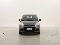 Usata Fiat Panda Easy 69 CV (50 kW) 2021 Grigio Utilitaria