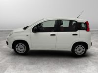 usata Fiat Panda Panda 1.2 -1.2 easy