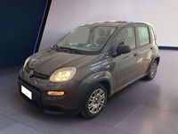 Usata Fiat Panda S 69 CV (50 kW) 2023 Grigio Utilitaria