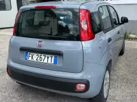 Usata Fiat Panda Easy 69 CV (50 kW) 2017 Grigio Utilitaria