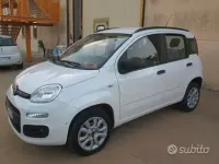 Usata Fiat Panda 85 CV (62 kW) 2014 Bianco Utilitaria