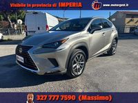 Usata Lexus NX300h Business Edition 155 CV (114 kW) 2020 Grigio SUV