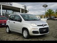 Usata Fiat Panda Lounge 69 CV (50 kW) 2020 Grigio metallizzato Utilitaria