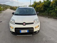 Usata Fiat Panda 4x4 S 95 CV (69 kW) 2018 Bianco Utilitaria