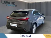 Usata Lexus UX 250h Business Edition 184 CV (135 kW) 2022 Grigio SUV