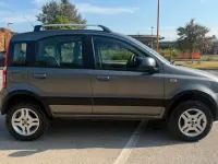 Usata Fiat Panda 4x4 Climbing 75 CV (55 kW) 2011 Grigio Utilitaria