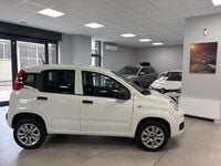 Usata Fiat Panda 70 CV (51 kW) 2021 Bianco Furgone